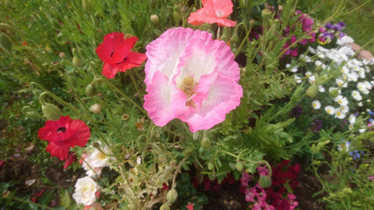 Le Bonheur A Portee De Mains Bergerac Luaran gambar