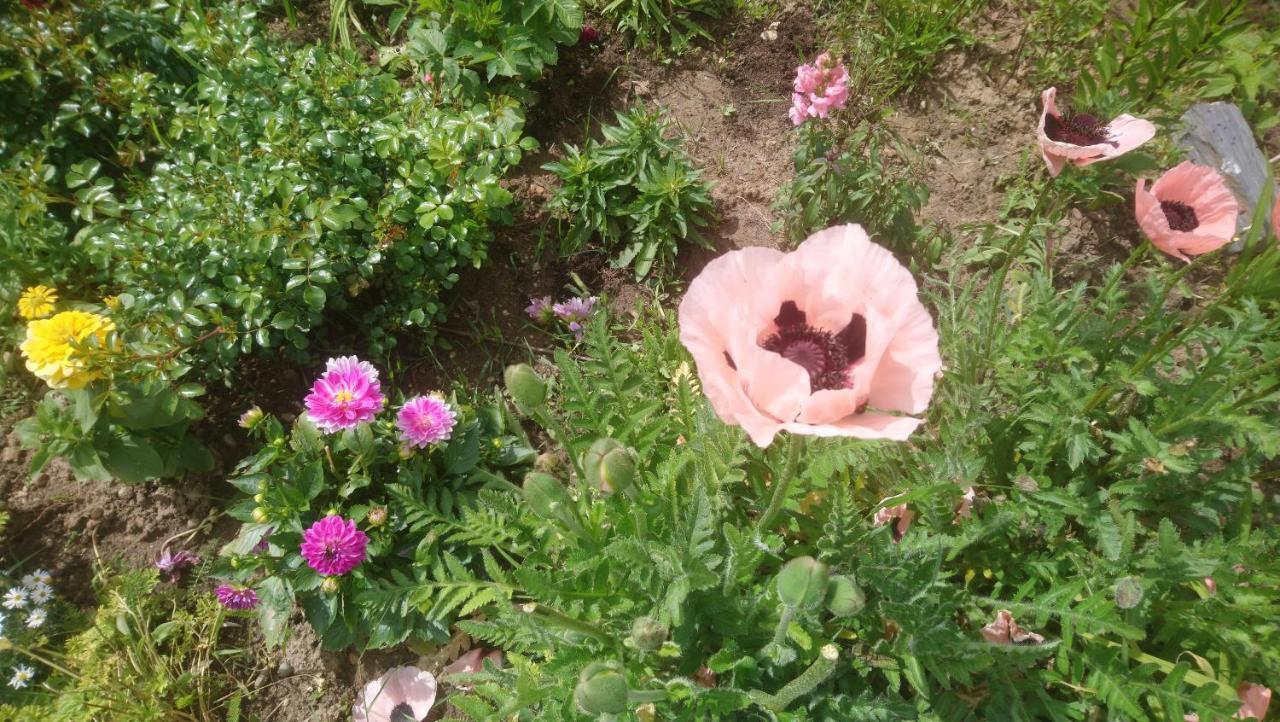 Le Bonheur A Portee De Mains Bergerac Luaran gambar